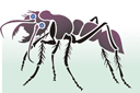Grosse fourmi - pochoirs avec des insectes et des bugs