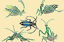 Vijf insecten - stencils met vlinders en libellen