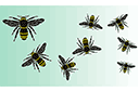 Essaim d'abeilles - pochoirs avec des animaux