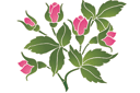 Roze motief - stencils met tuin- en wilde rozen