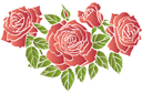 Roses écarlates 2 - pochoirs avec jardin et roses sauvages