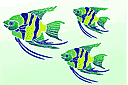 Engel vis 1 - sjablonen met zeeleven