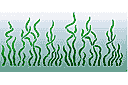 Algues 1 - pochoirs avec vie marine