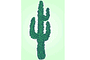 Cactus - latijns-amerikaanse sjablonen