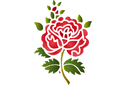Rose folklorique 11a - pochoirs avec jardin et roses sauvages