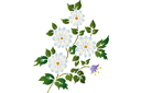 Bouquet folklorique de marguerites - pochoirs avec jardin et fleurs sauvages